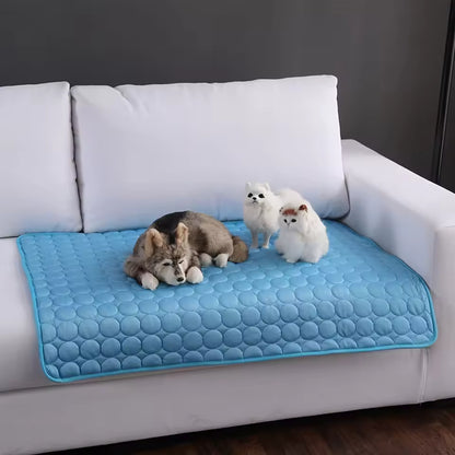 Tapis Rafraîchissant pour Chien et Chat | PattesZen™