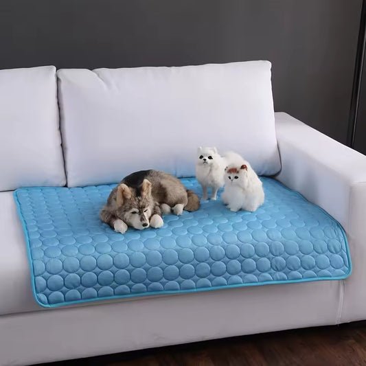 Tapis Rafraîchissant pour Chien et Chat | PattesZen™