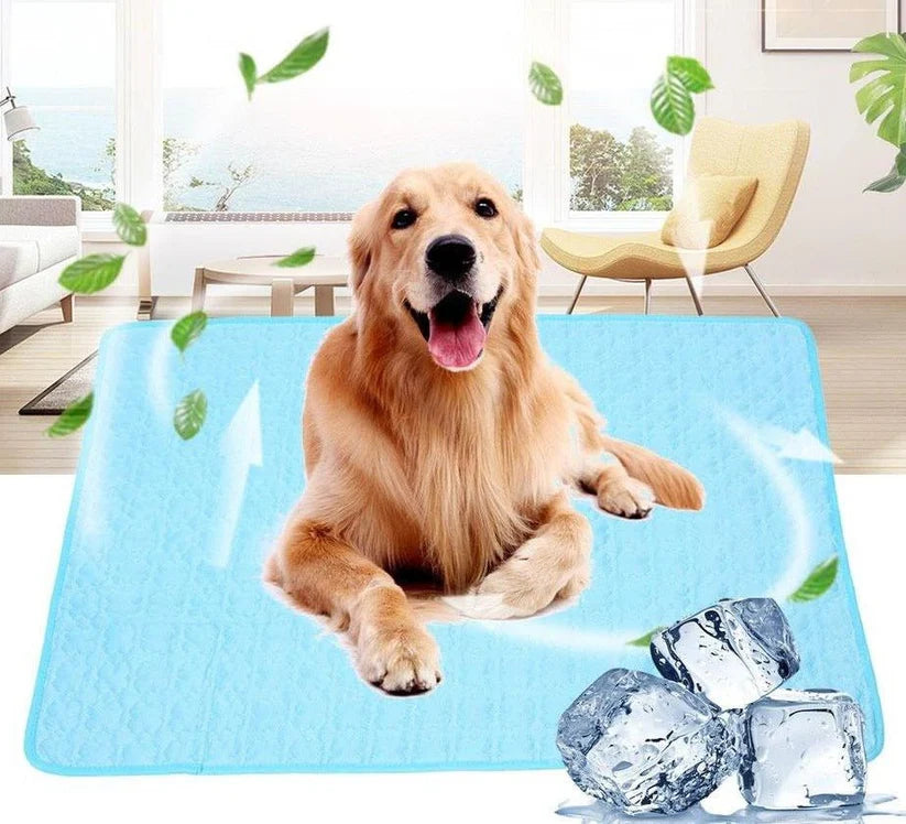 Tapis Rafraîchissant Chien & Chat Auto-Refroidissant | PattesZen™
