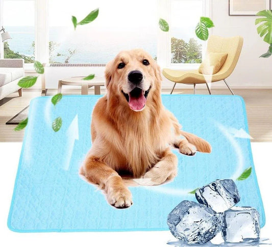 Tapis Rafraîchissant Chien & Chat Auto-Refroidissant | PattesZen™