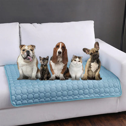 Tapis Rafraîchissant Chien & Chat Auto-Refroidissant | PattesZen™